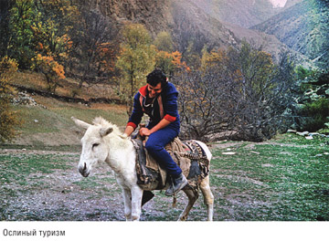 Книга Широко шагая. Ослиный туризм