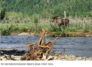 Книга Широко шагая. Дорогами России. На противоположном берегу реки стоит лось