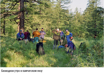 Книга Широко шагая. Дорогами России. Безводное утро в камчатском лесу