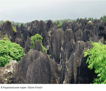 Книга Широко шагая. Сотый меридиан. В Национальном парке «Stone Forest»