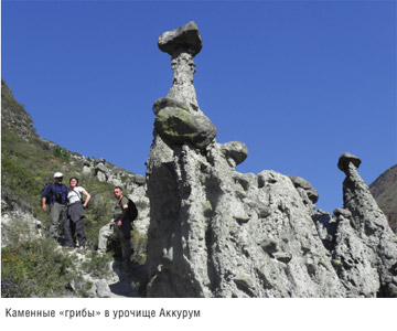 Книга Широко шагая. Алтай. Каменные «грибы» в урочище Аккурум