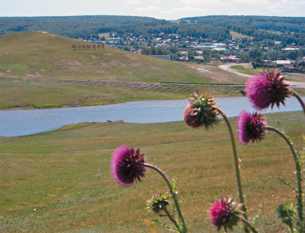 Южная Башкирия. Село Юлдыбаево