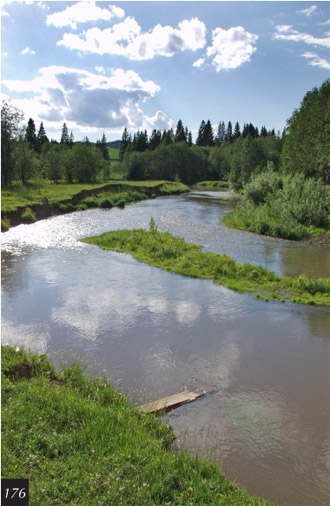 Река Ут в Корзуновке