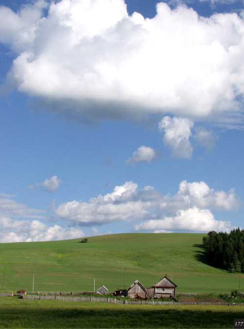 Полдень. Деревня Корзуновка