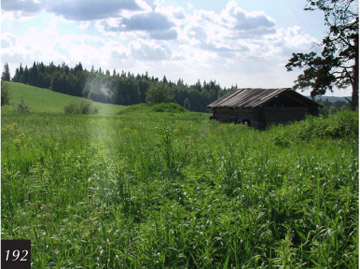 Энергетический столб, наблюдаемый вблизи селения Кремлево