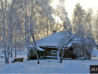 В селе Меркушино