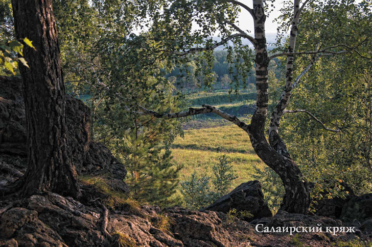 Подарочный фотоальбом Кузбасс Кемеровская область