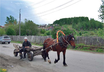 Под Думной горой