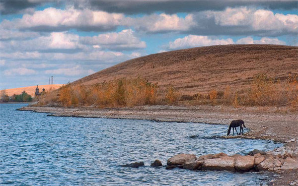 Оренбургская степь