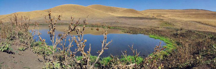 Оренбуржье. Степной водоем у основания хребта Карамурунтау