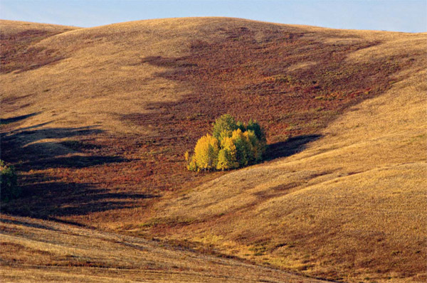 Оренбуржье