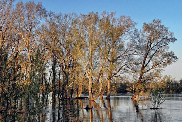 Оренбуржье. Половодье на реке Сакмара, крупнейшем притоке Урала