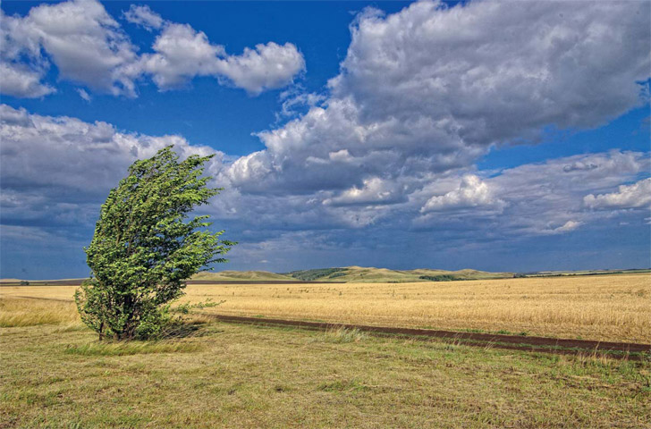 Фотоальбом Оренбургские просторы