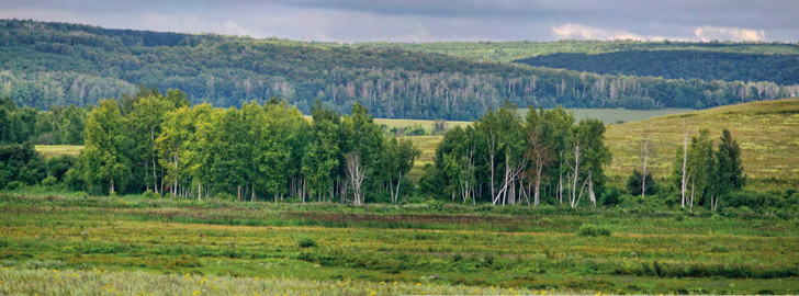 Оренбуржье. Аксаковские места