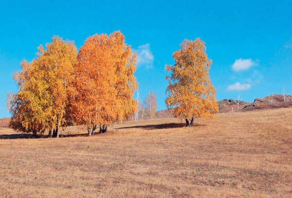 Оренбуржье. Кувандыкский район