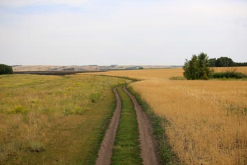 Экспедиция Курганское зауралье. Этап 4. Дорога к Тоболу