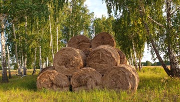 Экспедиция Курганское зауралье. Этап 4. Запасы на зиму