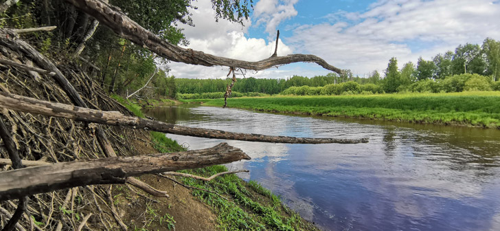 На берегу реки Вагиль